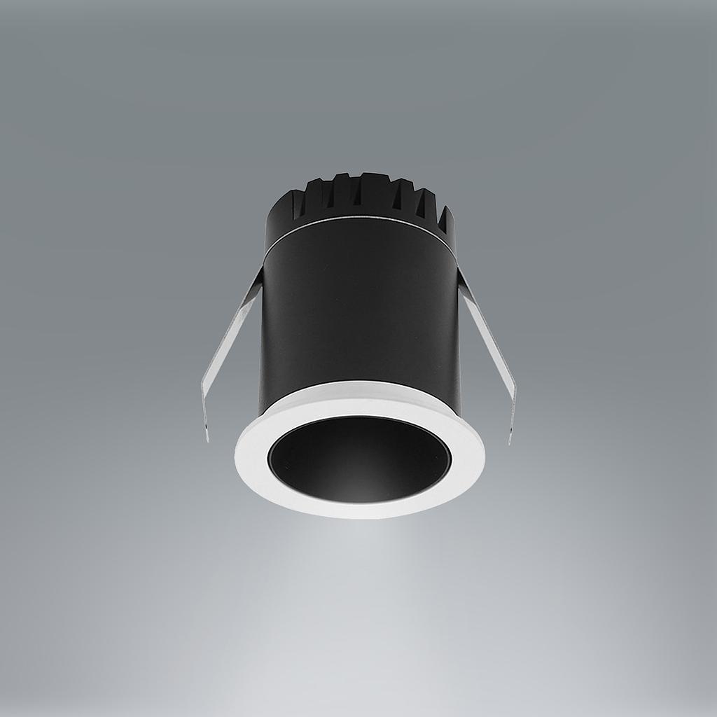 DR231